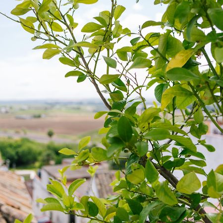 Al-Mudawar Casa Rural Almodóvar del Río エクステリア 写真